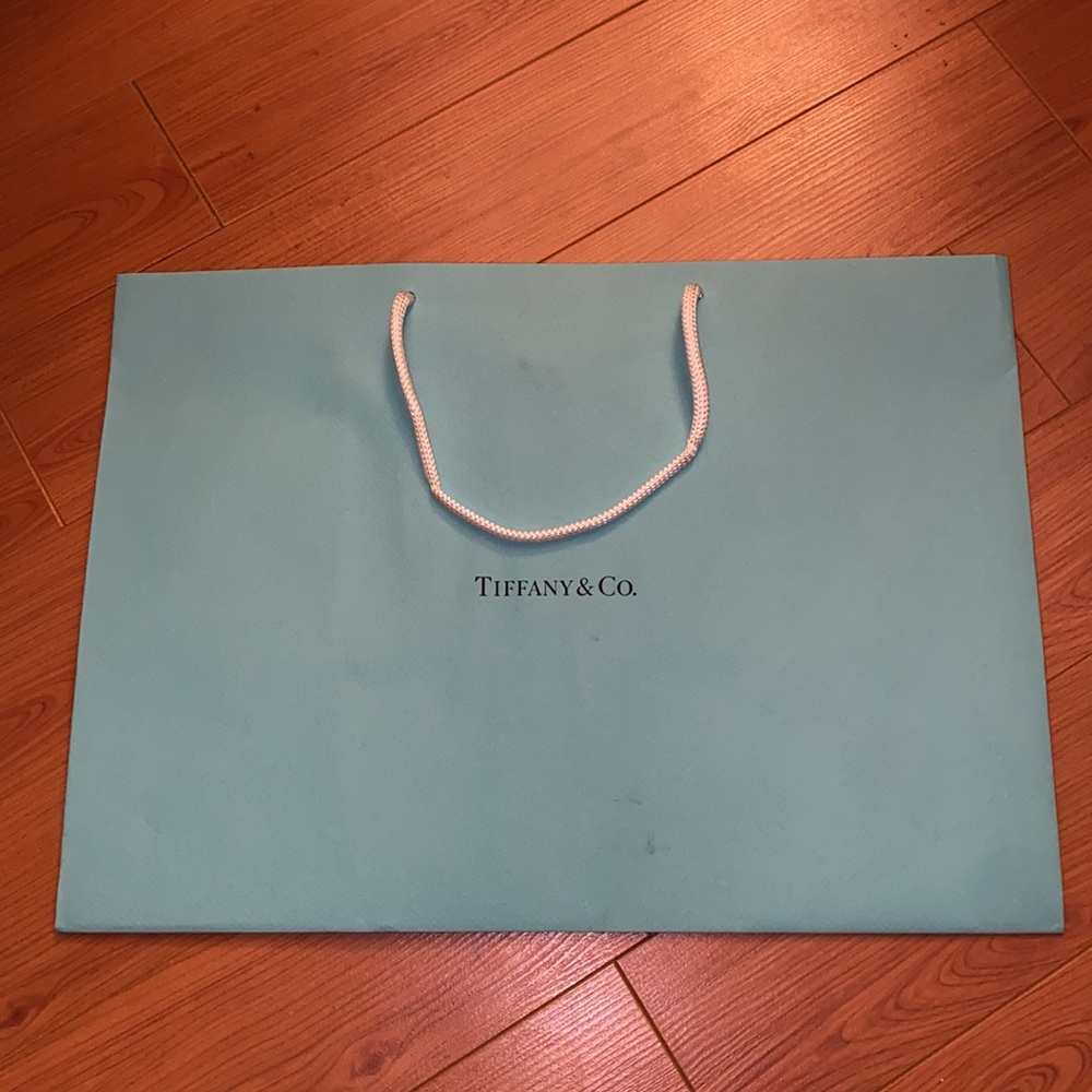 Tiffany & Co. paper shopper / gift bag